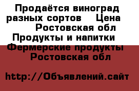 Продаётся виноград разных сортов. › Цена ­ 100 - Ростовская обл. Продукты и напитки » Фермерские продукты   . Ростовская обл.